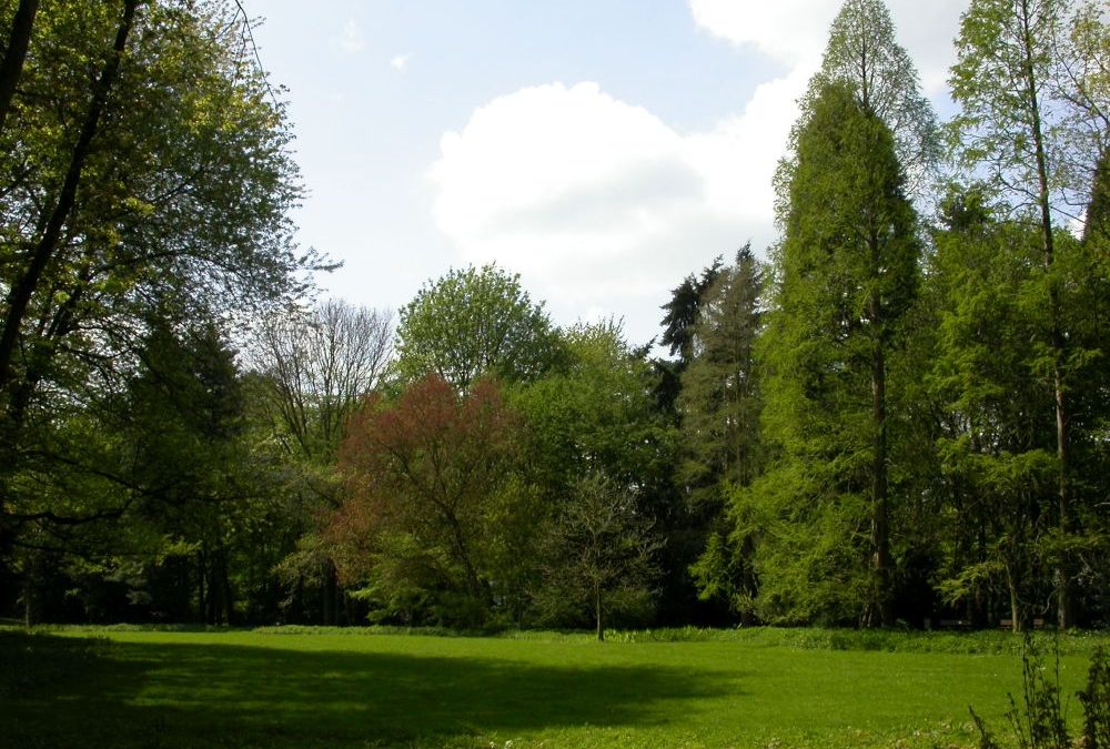 Einladung zur Führung durch den Herbstwald im Arboretum (lebendes Baummuseum) in Neuss-Reuschenberg